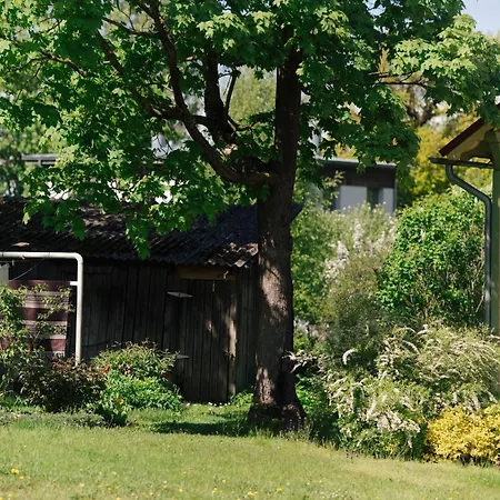 Cozy Summer Nest In The Center By The River *